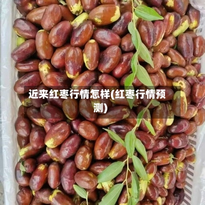 近来红枣行情怎样(红枣行情预测)-第2张图片