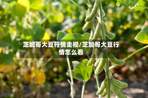 芝加哥大豆行情走视/芝加哥大豆行情怎么看-第2张图片