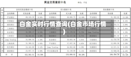 白金实时行情查询(白金市场行情)
