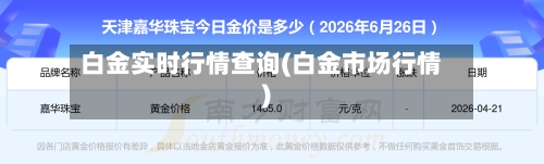 白金实时行情查询(白金市场行情)-第2张图片