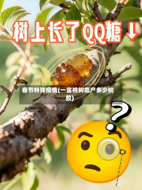 春节特殊疫情(一亩桃树能产多少桃胶)-第2张图片