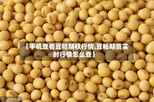 【手机查看豆粕期权行情,豆粕期货实时行情怎么查】