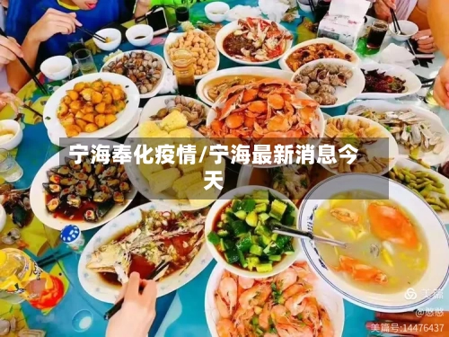 宁海奉化疫情/宁海最新消息今天-第2张图片