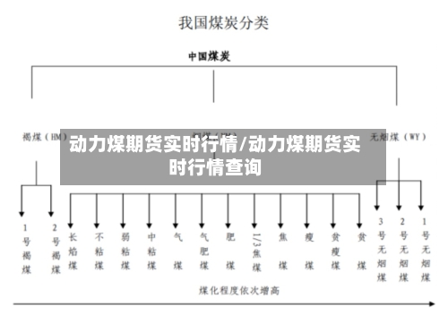 动力煤期货实时行情/动力煤期货实时行情查询