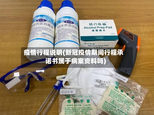 疫情行程说明(新冠疫情期间行程承诺书属于病案资料吗)