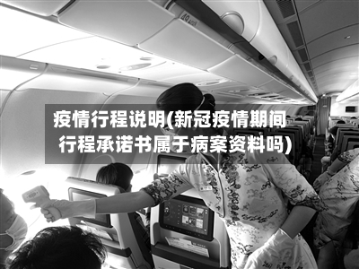 疫情行程说明(新冠疫情期间行程承诺书属于病案资料吗)-第2张图片