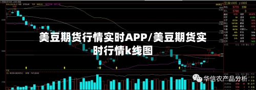 美豆期货行情实时APP/美豆期货实时行情k线图