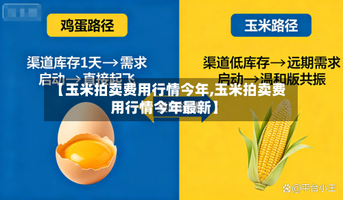 【玉米拍卖费用行情今年,玉米拍卖费用行情今年最新】-第3张图片