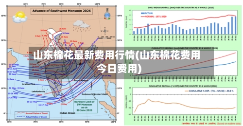 山东棉花最新费用行情(山东棉花费用今日费用)-第3张图片