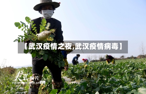 【武汉疫情之夜,武汉疫情病毒】