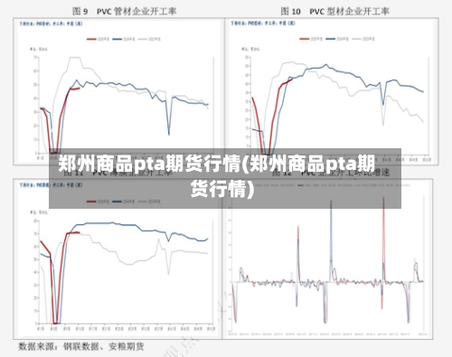郑州商品pta期货行情(郑州商品pta期货行情)-第2张图片