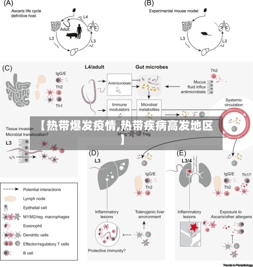 【热带爆发疫情,热带疾病高发地区】-第2张图片