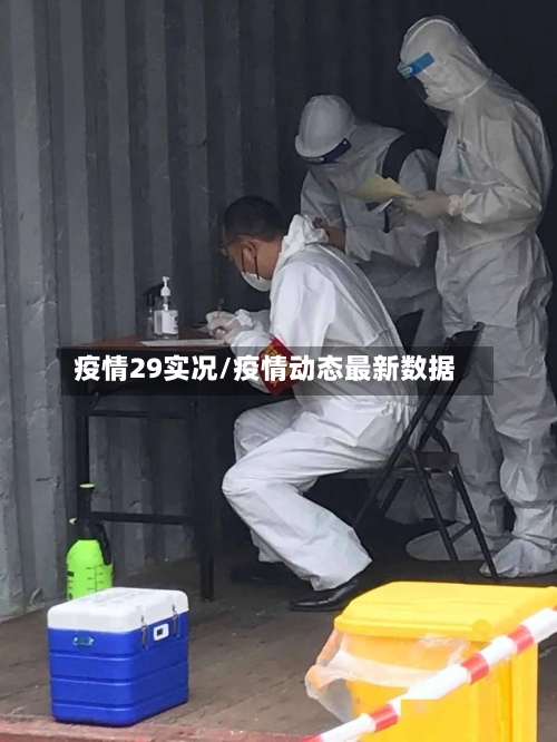 疫情29实况/疫情动态最新数据