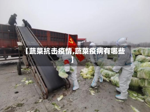 【蔬菜抗击疫情,蔬菜疫病有哪些】-第3张图片