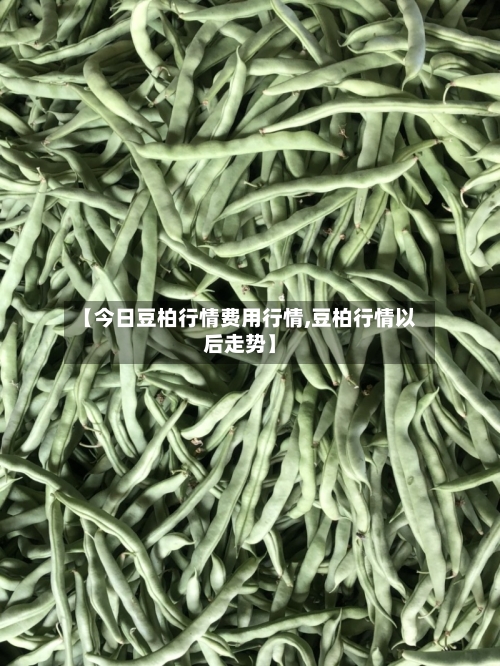 【今日豆柏行情费用行情,豆柏行情以后走势】-第2张图片