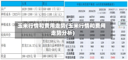 玉米行情和费用走势(玉米行情和费用走势分析)