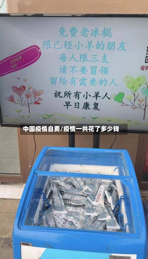 中国疫情自费/疫情一共花了多少钱