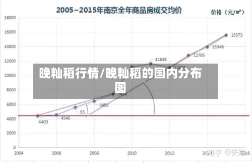 晚籼稻行情/晚籼稻的国内分布图